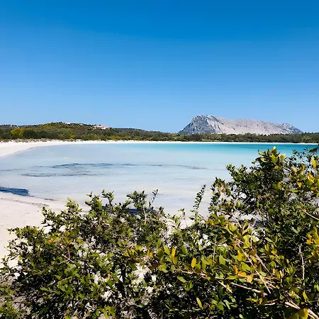 Trilocale I Graniti San Teodoro * Монте Петросу