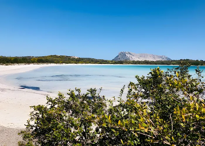 Trilocale I Graniti San Teodoro